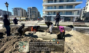 rezervor gaz navodari FOTO Facebook / Diana Buzoianu