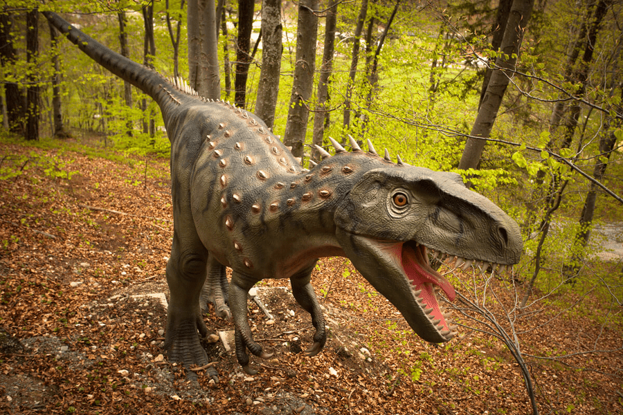 Gratis la Dino Parc Râșnov pentru elevi. Ce pot vedea școlarii în cel mai mare parc cu dinozauri din țară