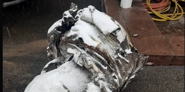 Fragment al unei rachete KH-44 doborâte în Ucraina FOTO via Ukrainska Pravda