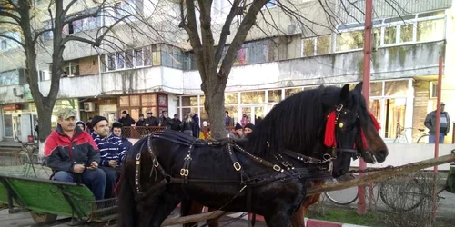 botezul cailor la zimnicea foto florina pop