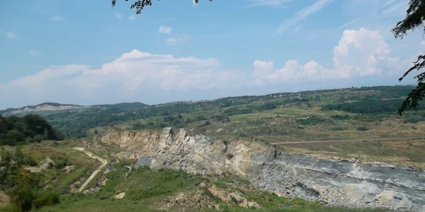 Seciurile 