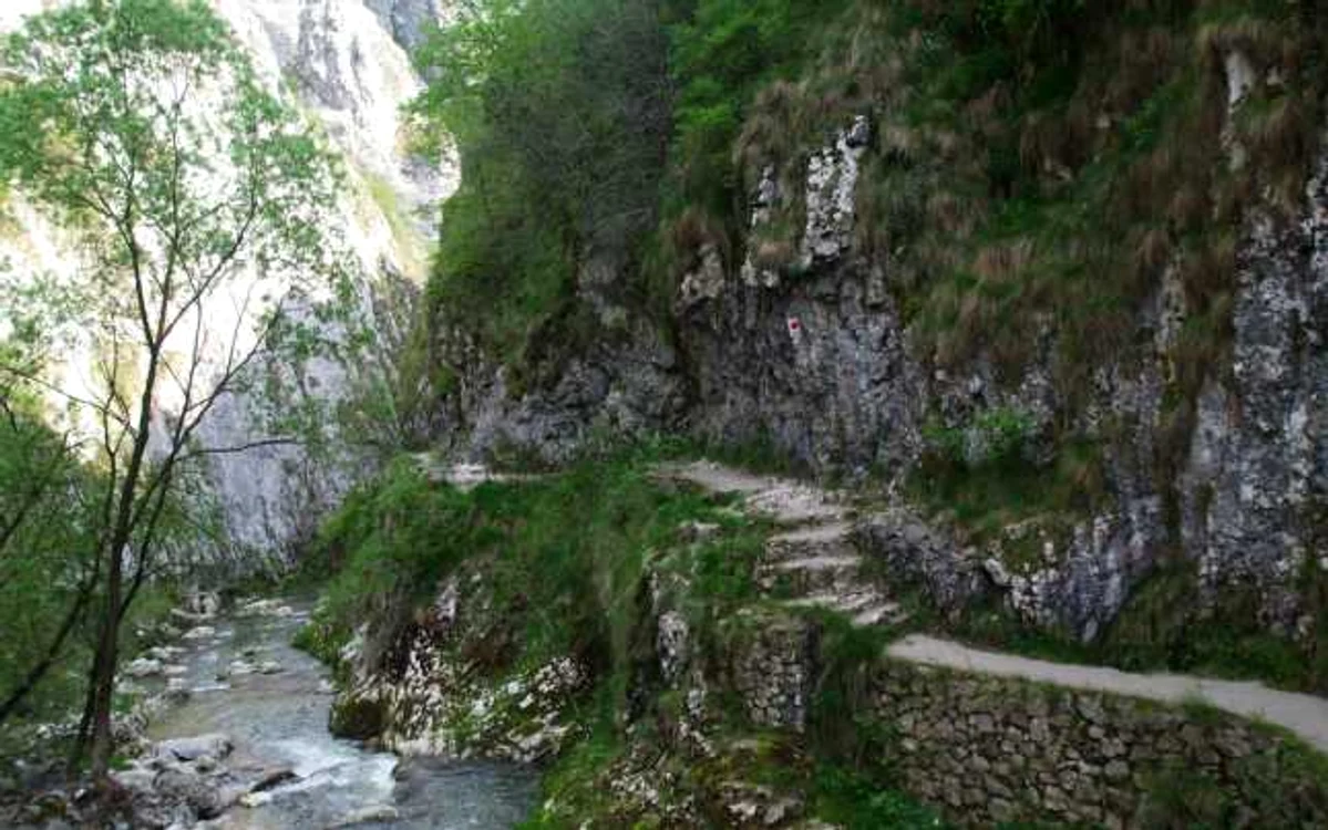 cheile turzii