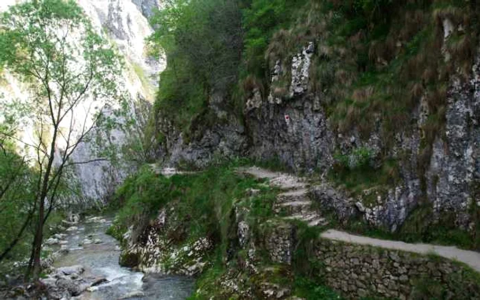 cheile turzii