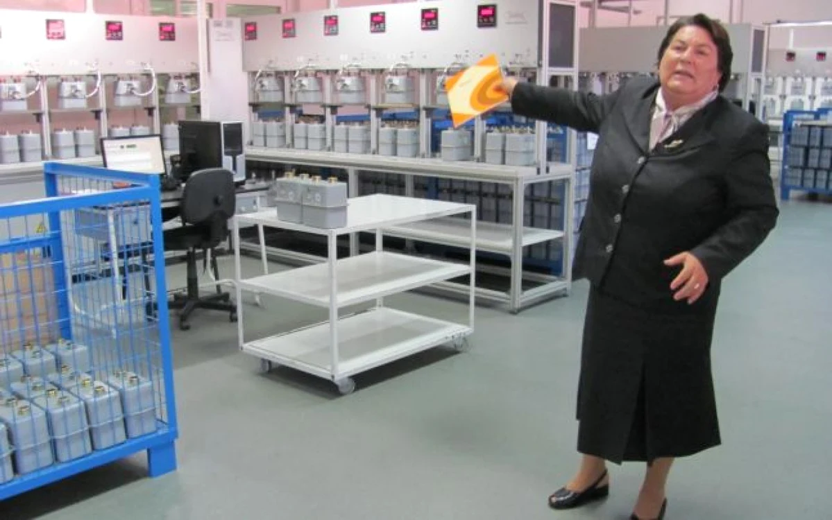 Fosta directoare AEM este acuzată că a pus la cale fraudarea fabricii pe care a condus-o