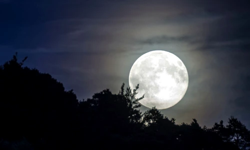 1 71937 original jpg jpeg