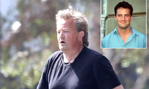 Matthew Perry png