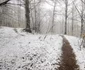 Valea Tatausului Foto Daniel Guță ADEVĂRUL (2) jpg