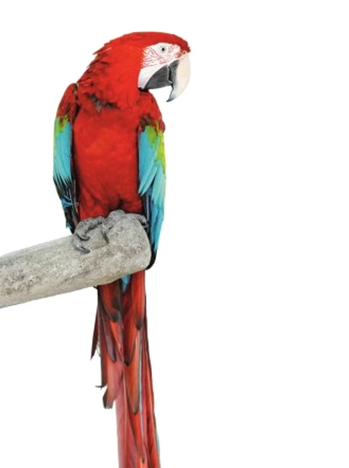 b8d46e45491f19a9cd6f01e244549e0f jpg jpeg