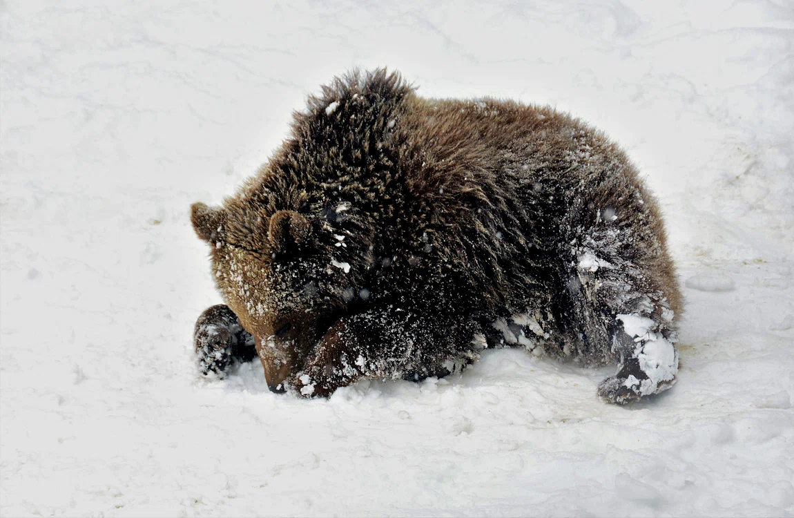 
    foto: Shutterstock  