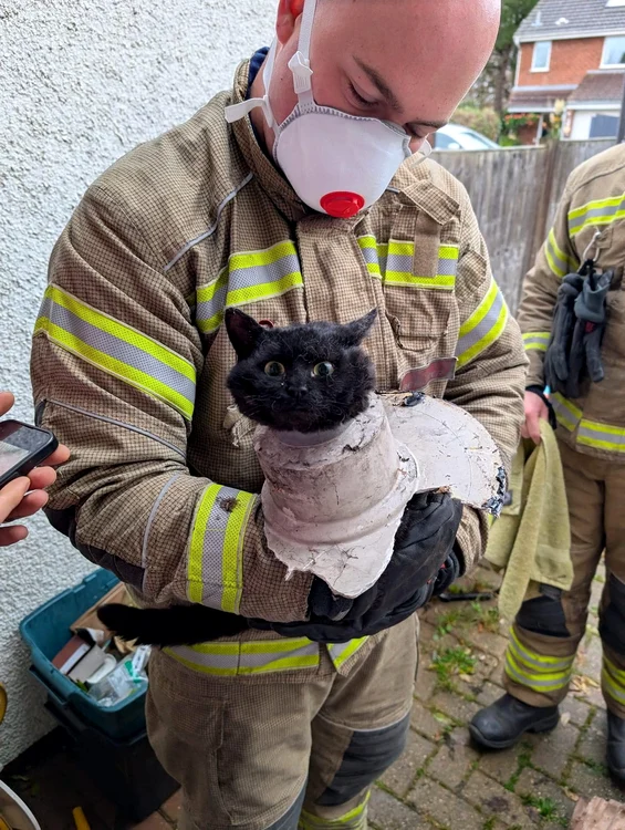 Pompierii au reușit să o salveze (Foto: Profimedia)