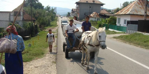 Căruţaşii riscă amenzi de până la 400 de lei 