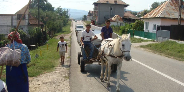 Căruţaşii riscă amenzi de până la 400 de lei 
