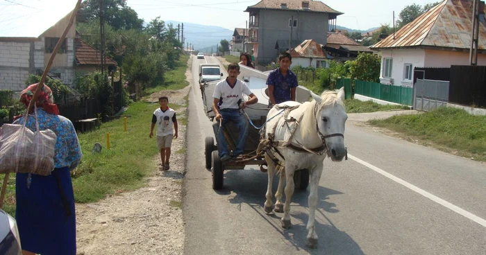 Căruţaşii riscă amenzi de până la 400 de lei 