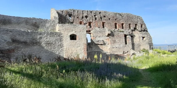 cetatea devei foto daniel Guta adevarul