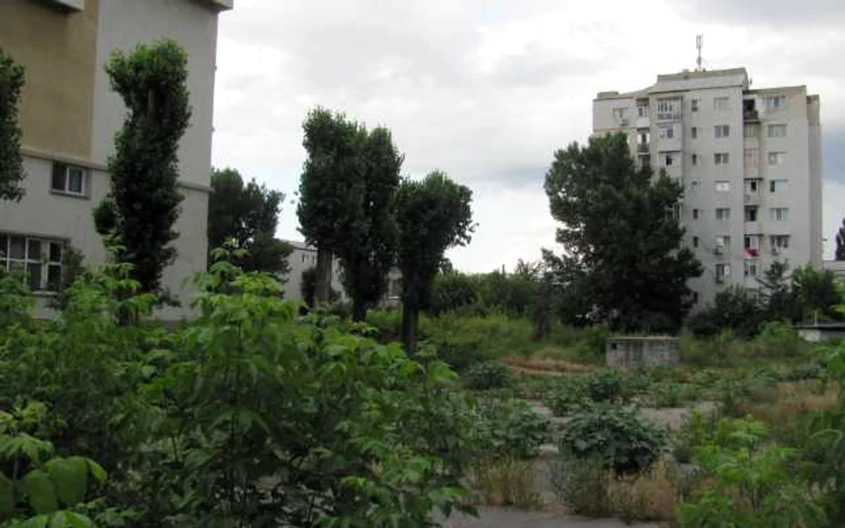 teren vandut spital barlad