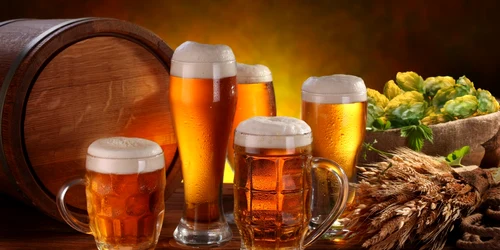 Bere FOTO Shutterstock