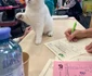 Sofisticat 2025