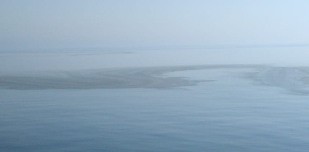 Alertă printre pescarii de la Marea Neagră din cauza unei „pete de ulei”. Ce era de fapt VIDEO