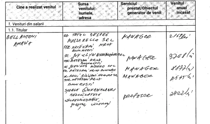 Amalia Bellantoni, manager în 4 firme, câștigă doar 2.200 lei pe lună