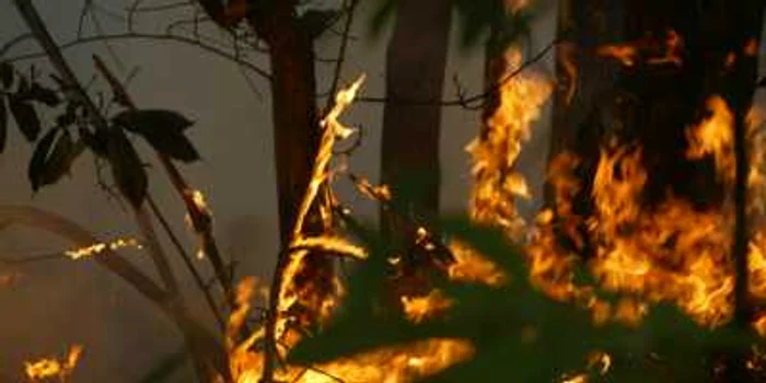 Incendiile din România au izbucnit după un trăsnet şi pe fondul caniculei FOTO: Mediafax