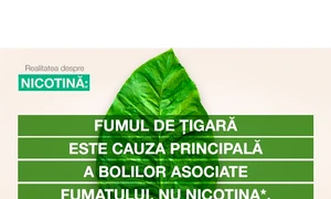 Nicotina: înţelegerea rolului şi a impactului ei în legătură cu fumatul jpeg