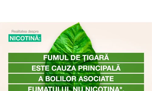 Nicotina: înţelegerea rolului şi a impactului ei în legătură cu fumatul jpeg