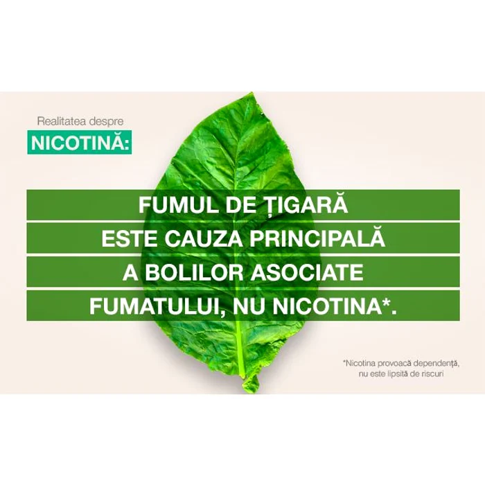 Nicotina: înţelegerea rolului şi a impactului ei în legătură cu fumatul jpeg