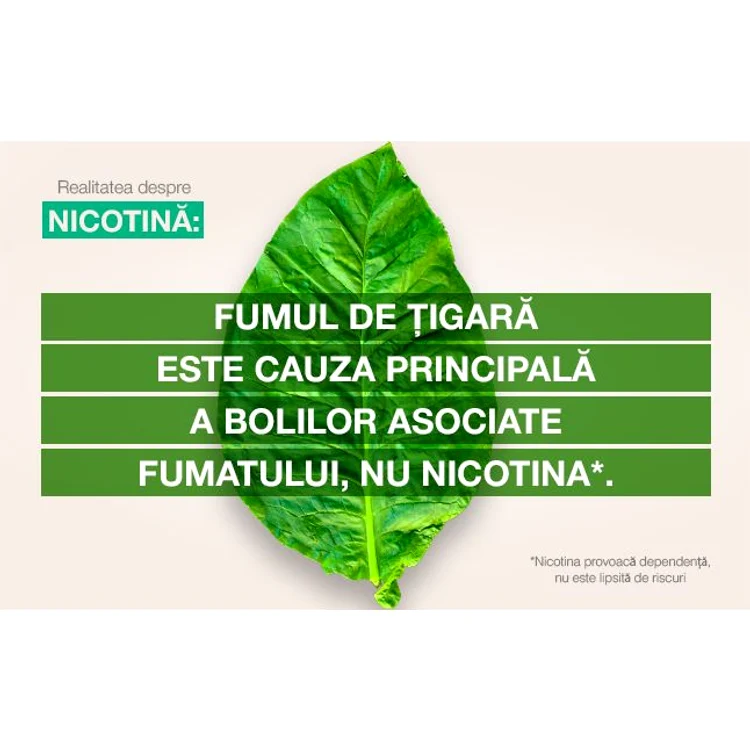Nicotina: înţelegerea rolului şi a impactului ei în legătură cu fumatul jpeg