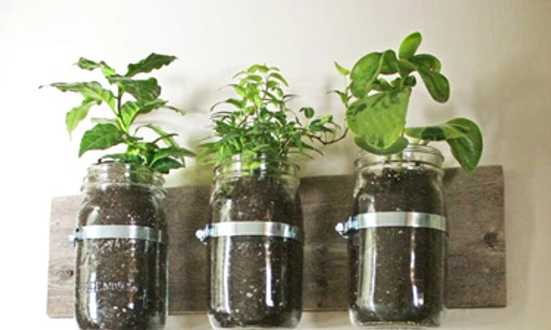 1 61321 original jpg jpeg