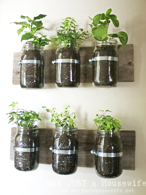 1 61321 original jpg jpeg