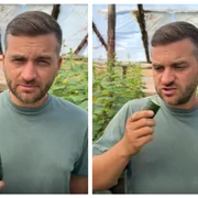 Un fermier din Galați i-a îndemnat pe urmăritori să vină să culeagă gratuit castraveții din seră