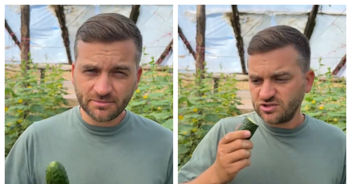 „Nu-i nimic regizat”. Motivul pentru care un fermier din Galați preferă să dea gratuit castraveții din seră oricui vine să îi culeagă