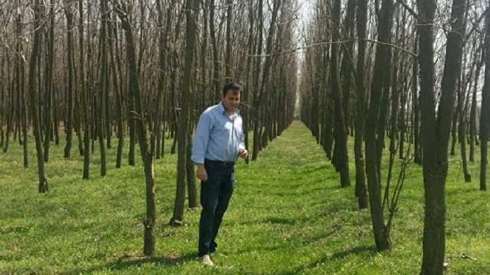Felix Mulţescu, fermierul care a plantat 40.000 de copaci FOTO: Liber în Teleorman