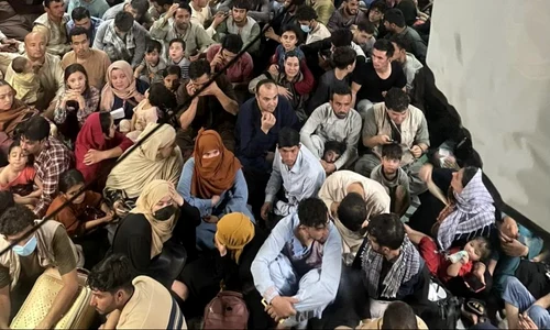 migranti in avion jpeg
