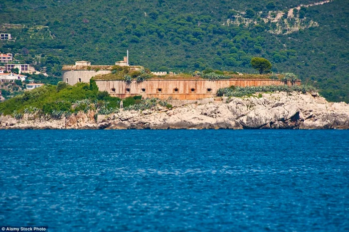 insula