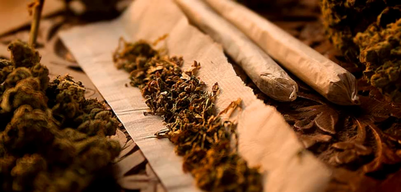 La percheziţia de la domiciliul inculpaţilor s-au descoperit fragmente vegetale şi seminţe de cannabis