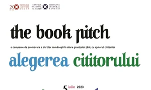 the book pitch png