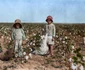 copii angajati in mine si fabrici foto Lewis Hine