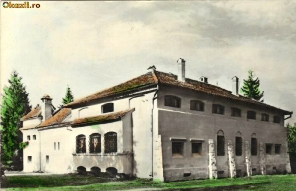 Casa Goga Rasinari