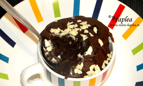mug cake prajitura la cana poza 9 jpeg