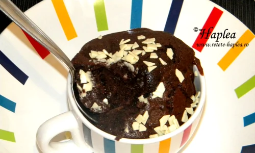mug cake prajitura la cana poza 9 jpeg