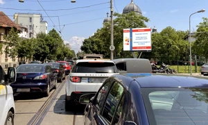 Bd Regina Maria Phoenix IGSU Canicula Rosu png