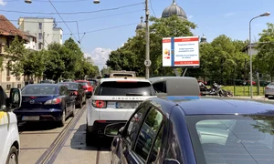 Bd Regina Maria Phoenix IGSU Canicula Rosu png