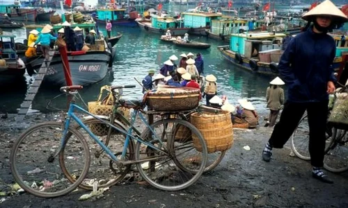 Patrimoniu mondial în pericol! jpeg