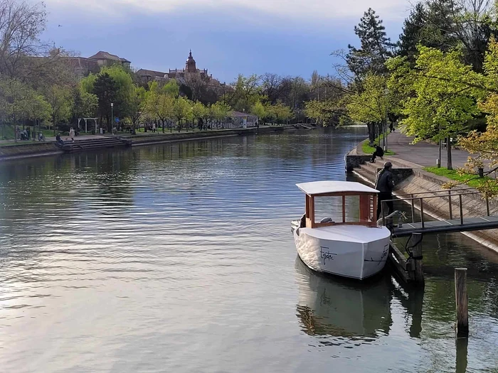 Egreta e pe apă FOTO Ecluze pe Bega