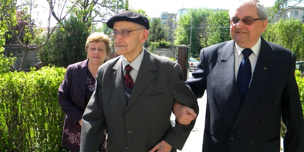 invatatorul ghinescu