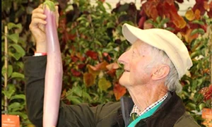 cea mai lunga telina guinness jpg