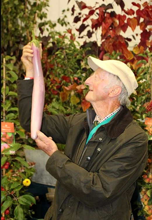 Cea mai lungă vânătă – 49 cm (Foto: Guinness World Records)