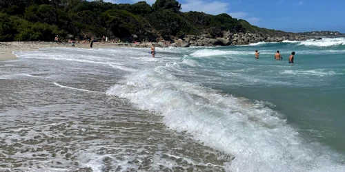 WhatsApp Image 2026 01 01 at 13 29 32 jpeg