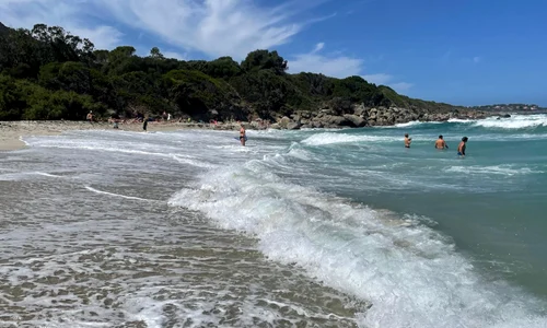 WhatsApp Image 2026 01 01 at 13 29 32 jpeg